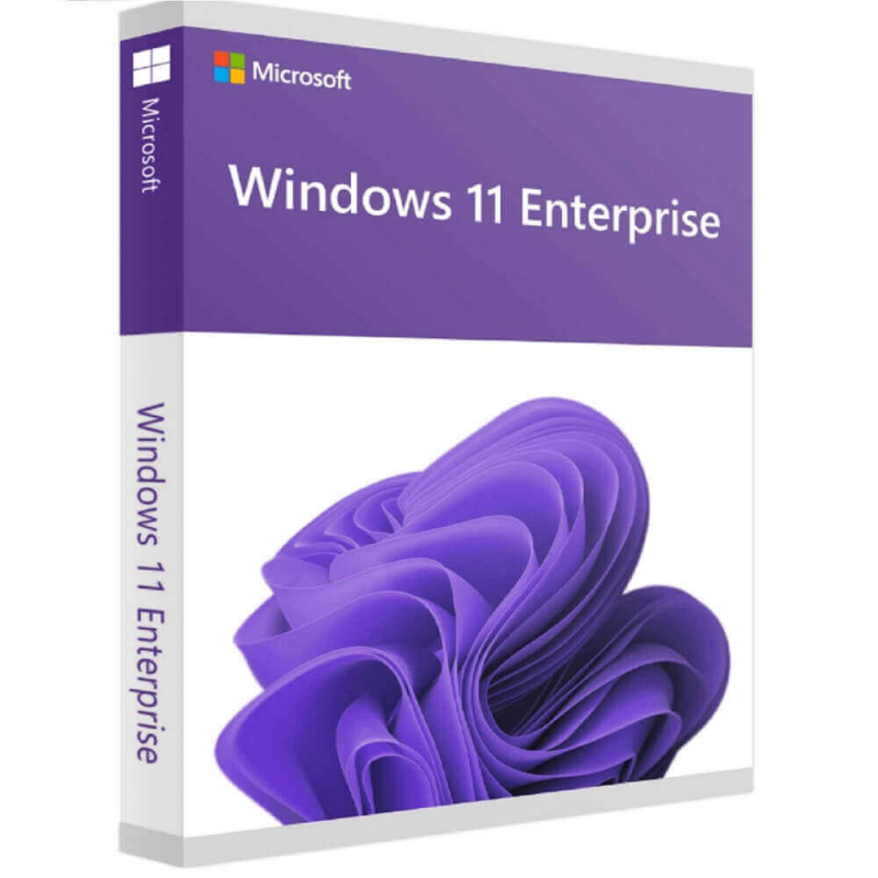Windows 11 IoT Entreprise